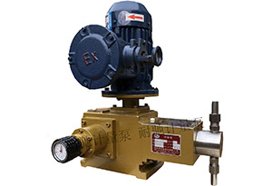 J-X 柱塞式計(jì)量泵